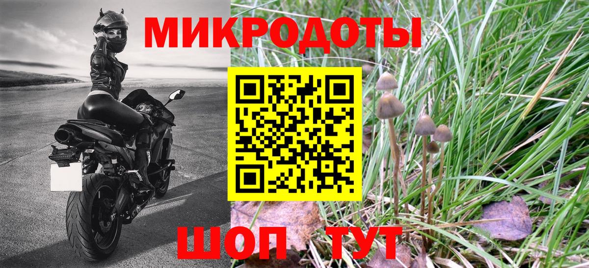 Псилоцибиновые грибы GOLDEN TEACHER Рославль