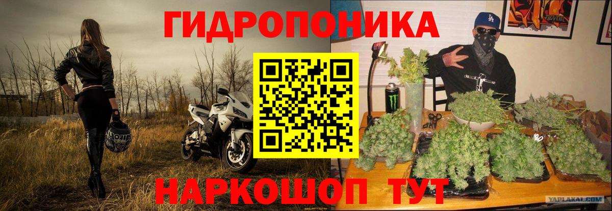 Бошки Шишки Ganja  Канабис план  Рославль  Вход с VPN 